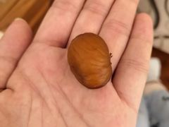 -金栗王(清扬路店)