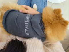 -怪兽屋·羊驼·猫咖·狗咖(俊华广场店)