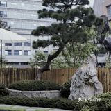 宋制美学中餐厅，出乎意料的美