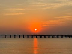 -宝安西湾红树林湿地公园