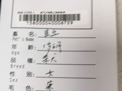 -申普宠物医院·心脏介入·心血管微创(总院)
