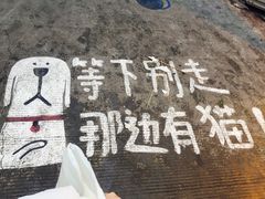 -有猫主题·治愈系猫咖(曾厝垵店)
