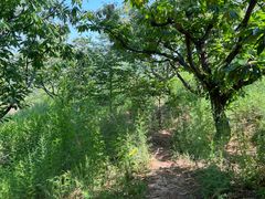 -天津盘山风景名胜区