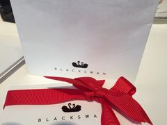 -BLACKSWAN黑天鹅(环球店)