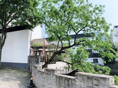 -树山生态村
