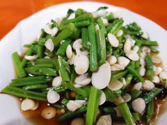 杏仁蕨菜-张茂民族饭店(胜利北路店)