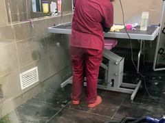 -美联众合动物医院(唯恩分院)