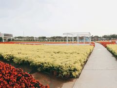 -广州花之恋城堡酒店
