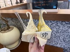 -野人先生Gelato(上海长宁龙之梦店)