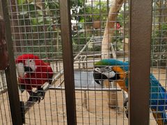 -南宫五洲植物乐园