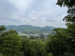 -莫干山风景区
