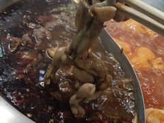 -铭记蛙小仙·活蛙畅享(CBD万达广场店)