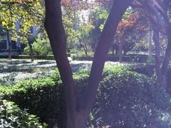 -山东师范大学(千佛山校区)