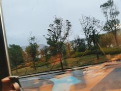 -金海湾海鲜排档(朱家尖店)