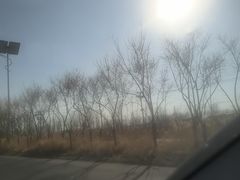 -白洋淀景区