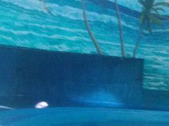 -多彩贵州城极地海洋世界