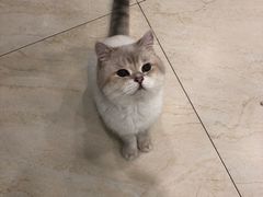 -杨记隆府(汉街店)