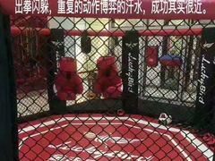 -金吉鸟健身游泳