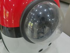 -瑞鹏宠物医院·骨外科·心肾科·肿瘤科(九亭店)