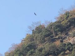 -三清山希尔顿度假酒店