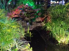 -聚缘·湘味音乐餐厅party(罗湖店)