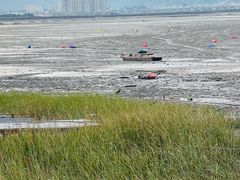 -北岐滩涂