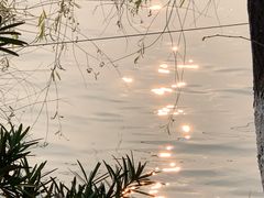 -八大山人梅湖景区