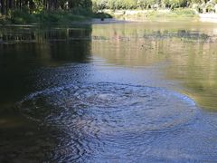 -白河湾生态旅游一条川