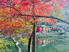 -岳麓山风景名胜区