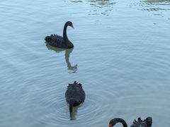 -广州白江湖森林公园