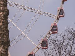 -顾村公园
