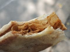 -孙奶奶葱包桧