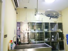 -瑞鹏宠物医院·爱宠堂·骨外专科(西荷分院)