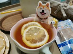 -逗柴咖啡屋·狗咖猫咖宠物桌游