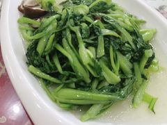 香菇青菜-金善卷土菜馆