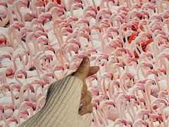 -罗红摄影艺术馆