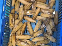 -田园·晶品会(鹤庆路店)