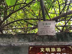 -广州神农草堂中医药博物馆
