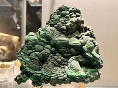 -中国地质博物馆