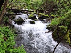 -叠溪松坪沟景区