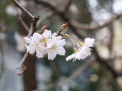 -南京维景国际大酒店(南京博物院店)