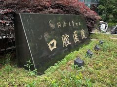 -同济大学附属口腔医院