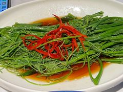 -新蜀会四川豆花(五羊店)