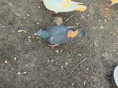 -杭州市第一人民医院(湖滨院区)