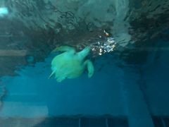 -苏州海洋馆