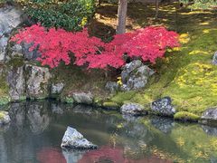 -醍醐寺