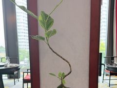 -浦江悦(陆家嘴保利广场店)