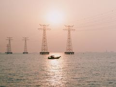 -宝安西湾红树林湿地公园