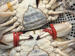 -海景苑海鲜大酒店(吕四店)