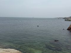 -养马岛旅游度假区